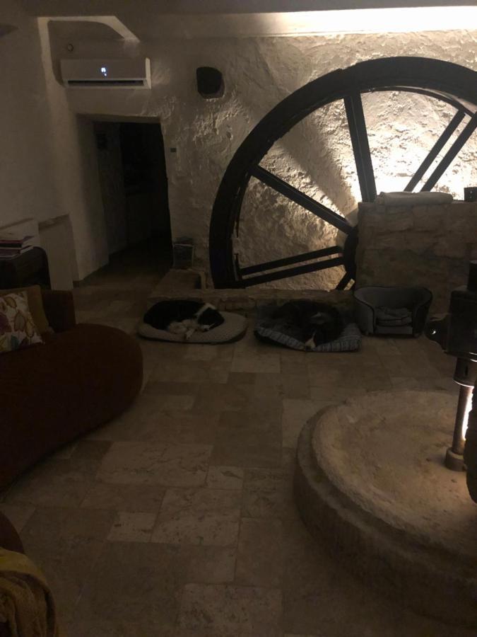 Moulin A Huile Chambre D'Hotes Vins-sur-Caramy Exteriér fotografie